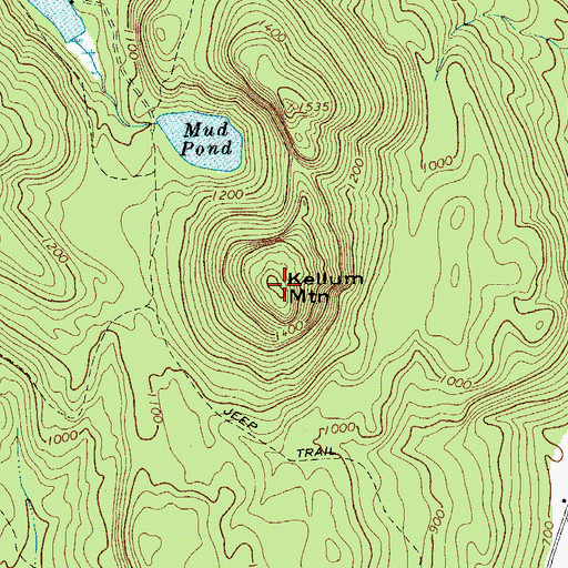 Topographic Map of Kellum Mountain, NY