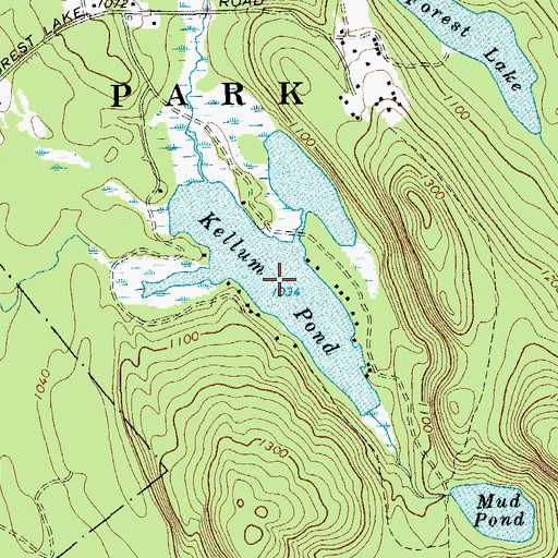 Topographic Map of Kellum Pond, NY