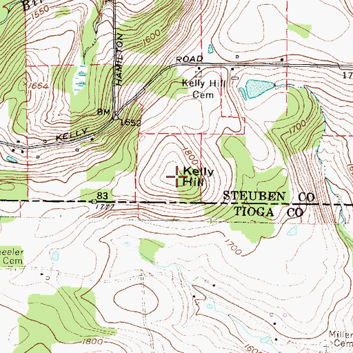 Topographic Map of Kelly Hill, NY