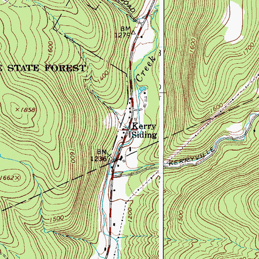 Topographic Map of Kerry Siding, NY