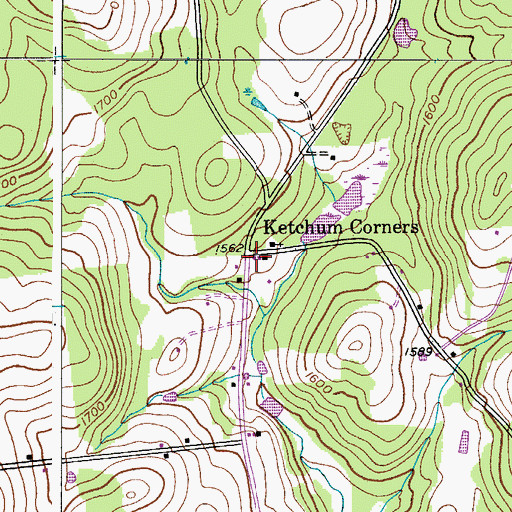 Topographic Map of Ketchum Corners, NY