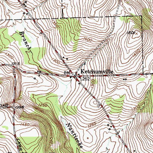 Topographic Map of Ketchumville, NY