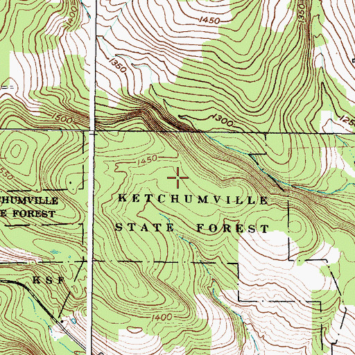 Topographic Map of Ketchumville State Forest, NY