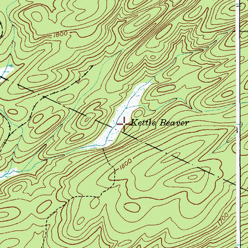 Topographic Map of Kettle Beaver, NY