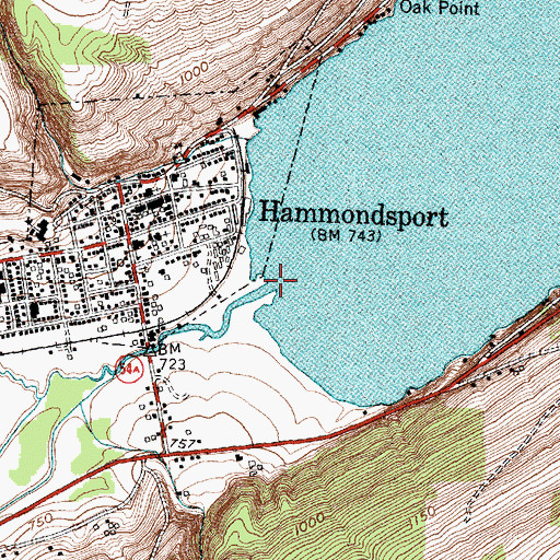Topographic Map of Keuka Inlet, NY