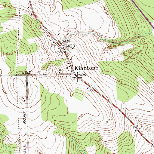Topographic Map of Kiantone, NY