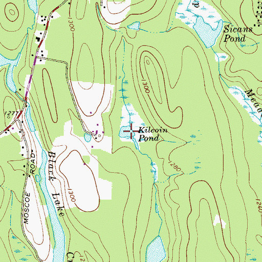 Topographic Map of Kilcoin Pond, NY