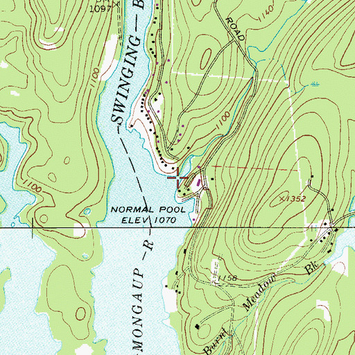 Topographic Map of Kinne Brook, NY
