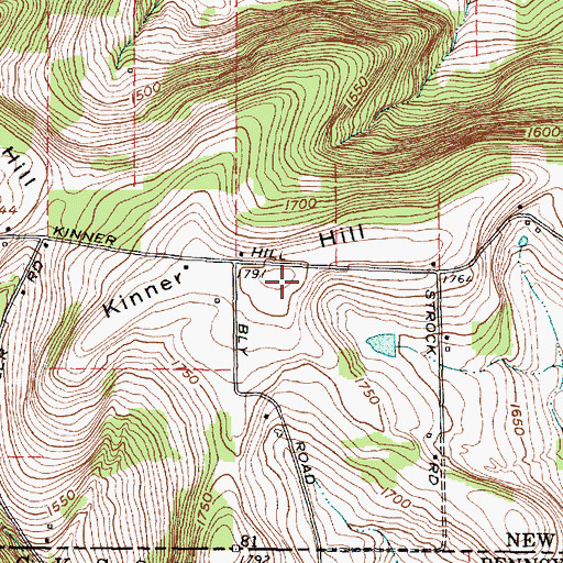 Topographic Map of Kinner Hill, NY