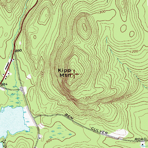 Topographic Map of Kipp Mountain, NY