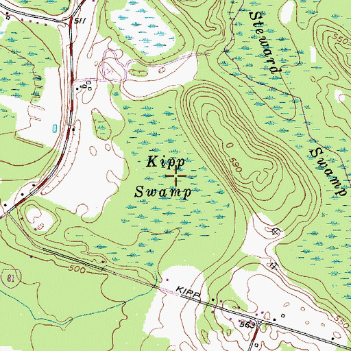 Topographic Map of Kipp Swamp, NY