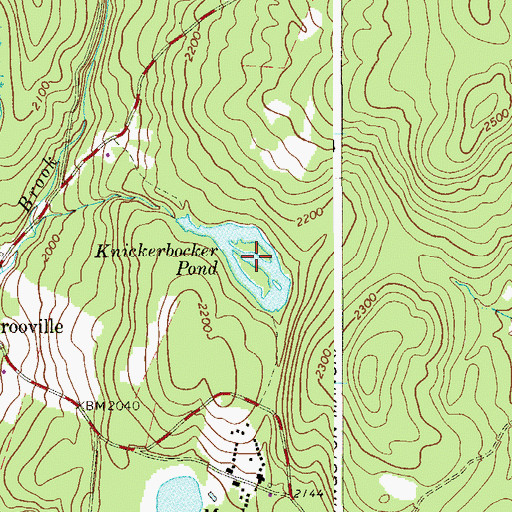Topographic Map of Knickerbocker Pond, NY