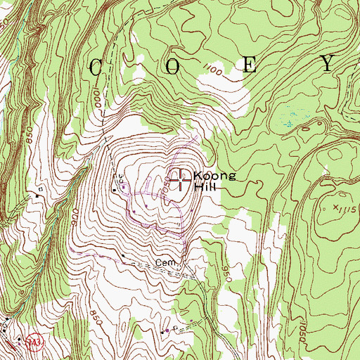 Topographic Map of Koong Hill, NY