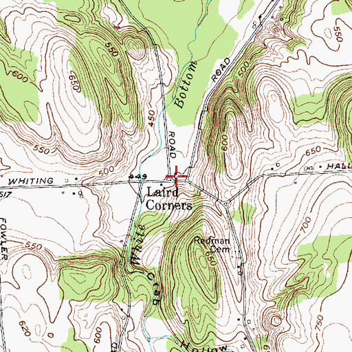 Topographic Map of Laird Corners, NY