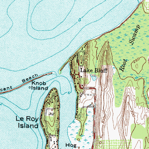 Topographic Map of Lake Bluff, NY