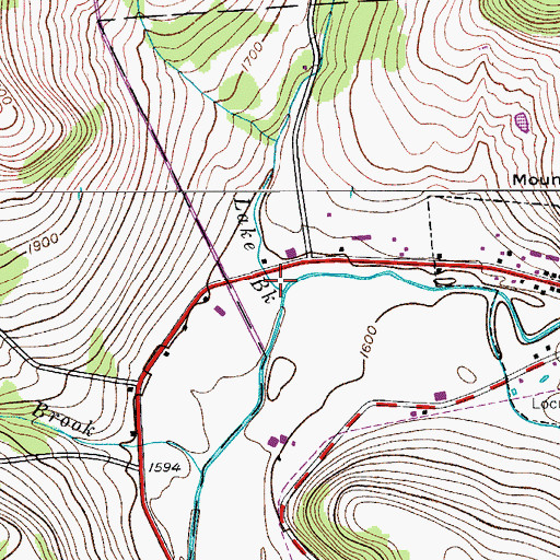 Topographic Map of Lake Brook, NY