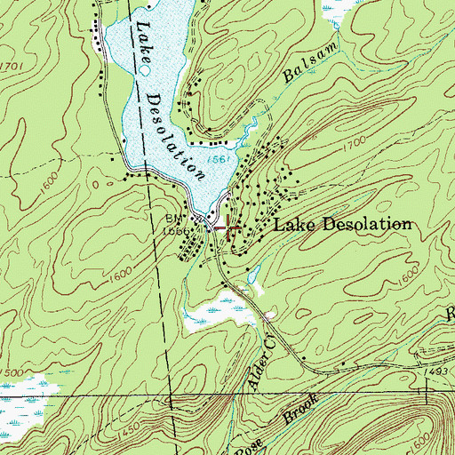 Topographic Map of Lake Desolation, NY