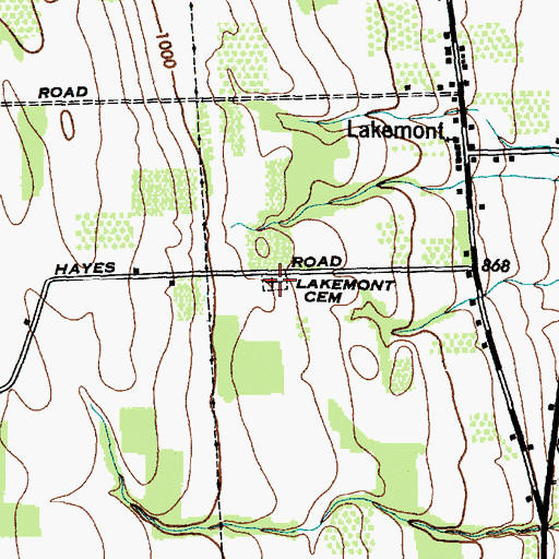 Topographic Map of Lakemont Cemetery, NY