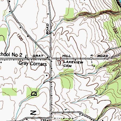 Topographic Map of Lakeview Cemetery, NY