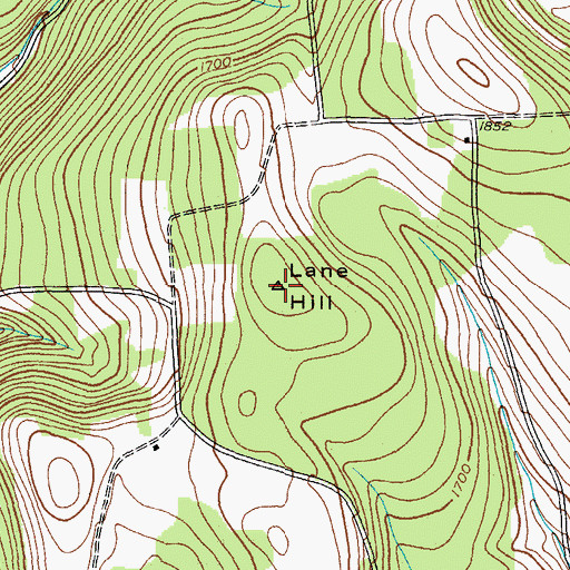 Topographic Map of Lane Hill, NY