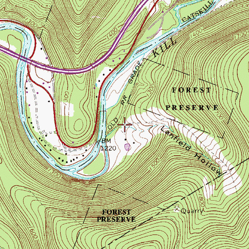 Topographic Map of Lanfield Hollow, NY