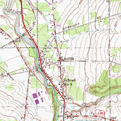 Topographic Map of Laona, NY