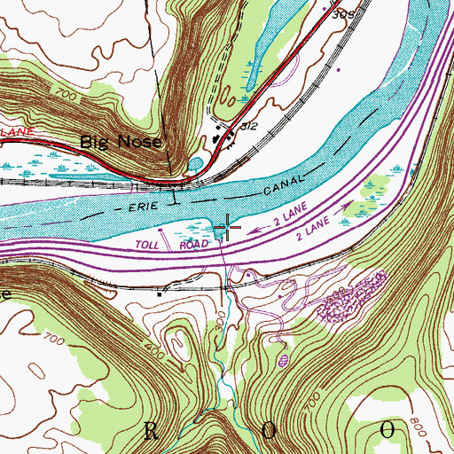 Topographic Map of Lasher Creek, NY