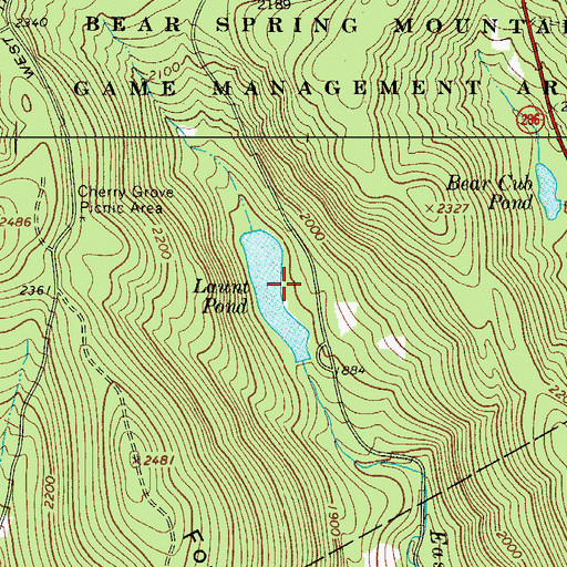 Topographic Map of Launt Pond, NY