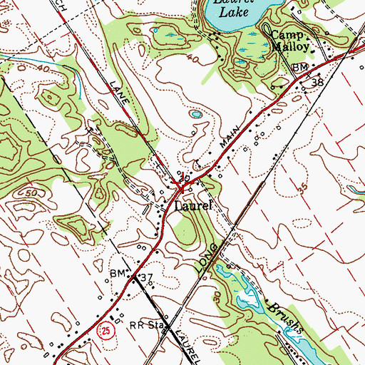 Topographic Map of Laurel, NY
