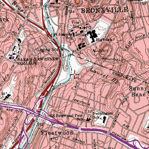 Topographic Map of Laurel Brook, NY