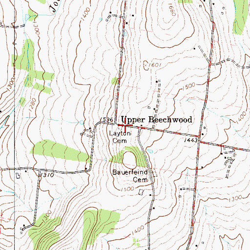 Topographic Map of Layton Cemetery, NY