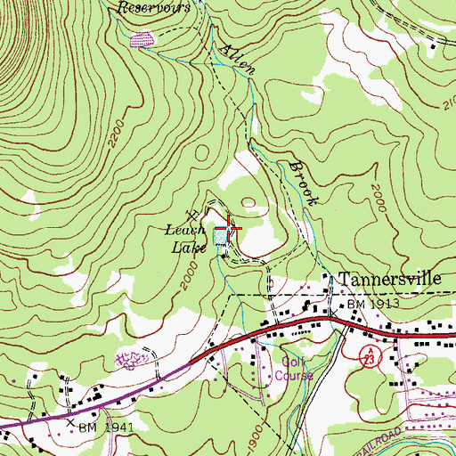 Topographic Map of Leach Lake, NY