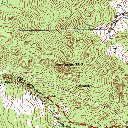Topographic Map of Lead Hill, NY