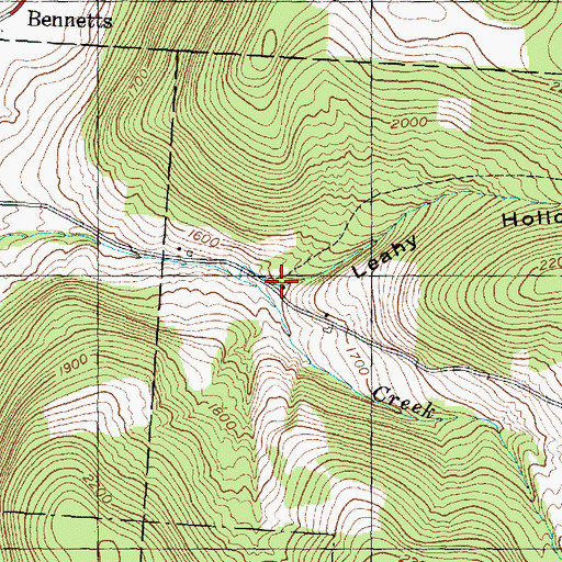 Topographic Map of Leahy Hollow, NY