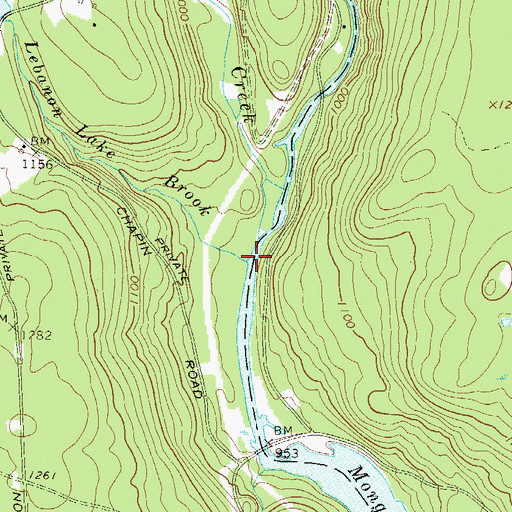Topographic Map of Lebanon Lake Brook, NY