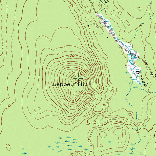 Topographic Map of Leboeuf Hill, NY