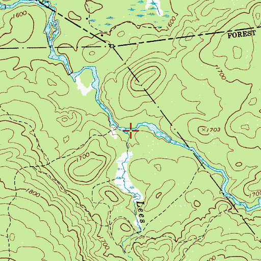 Topographic Map of Lees Creek, NY
