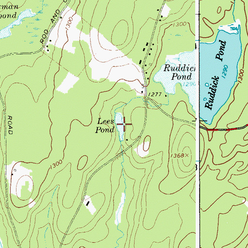 Topographic Map of Lees Pond, NY