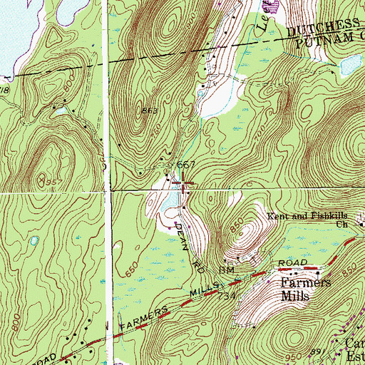 Topographic Map of Leetown Brook, NY