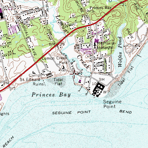 Topographic Map of Lemon Creek, NY