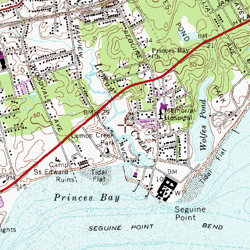 Topographic Map of Lemon Creek Park, NY
