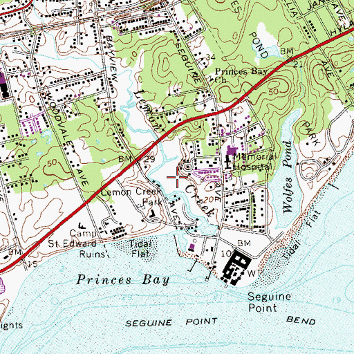 Topographic Map of Lemon Creek Park, NY