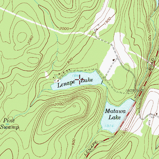 Topographic Map of Lenape Lake, NY
