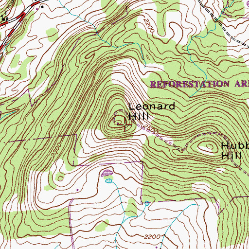 Topographic Map of Leonard Hill, NY