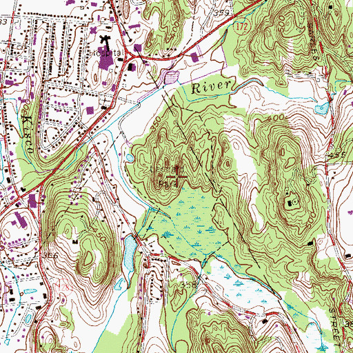 Topographic Map of Leonard Park, NY
