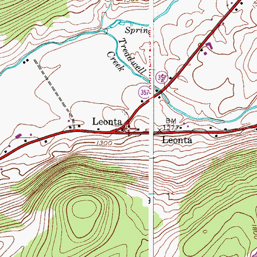 Topographic Map of Leonta, NY