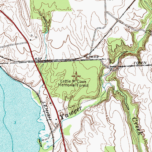 Topographic Map of Lettie M Cook Memorial Forest, NY