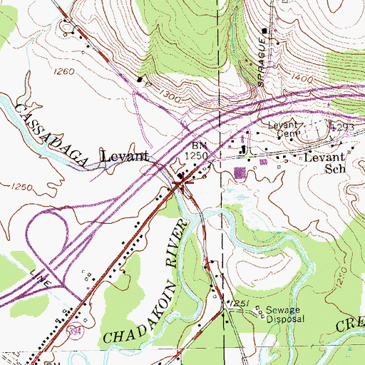 Topographic Map of Levant, NY