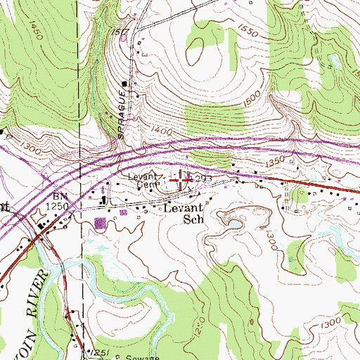 Topographic Map of Levant Cemetery, NY
