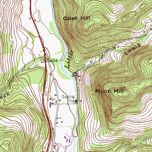 Topographic Map of Lewis Hollow, NY